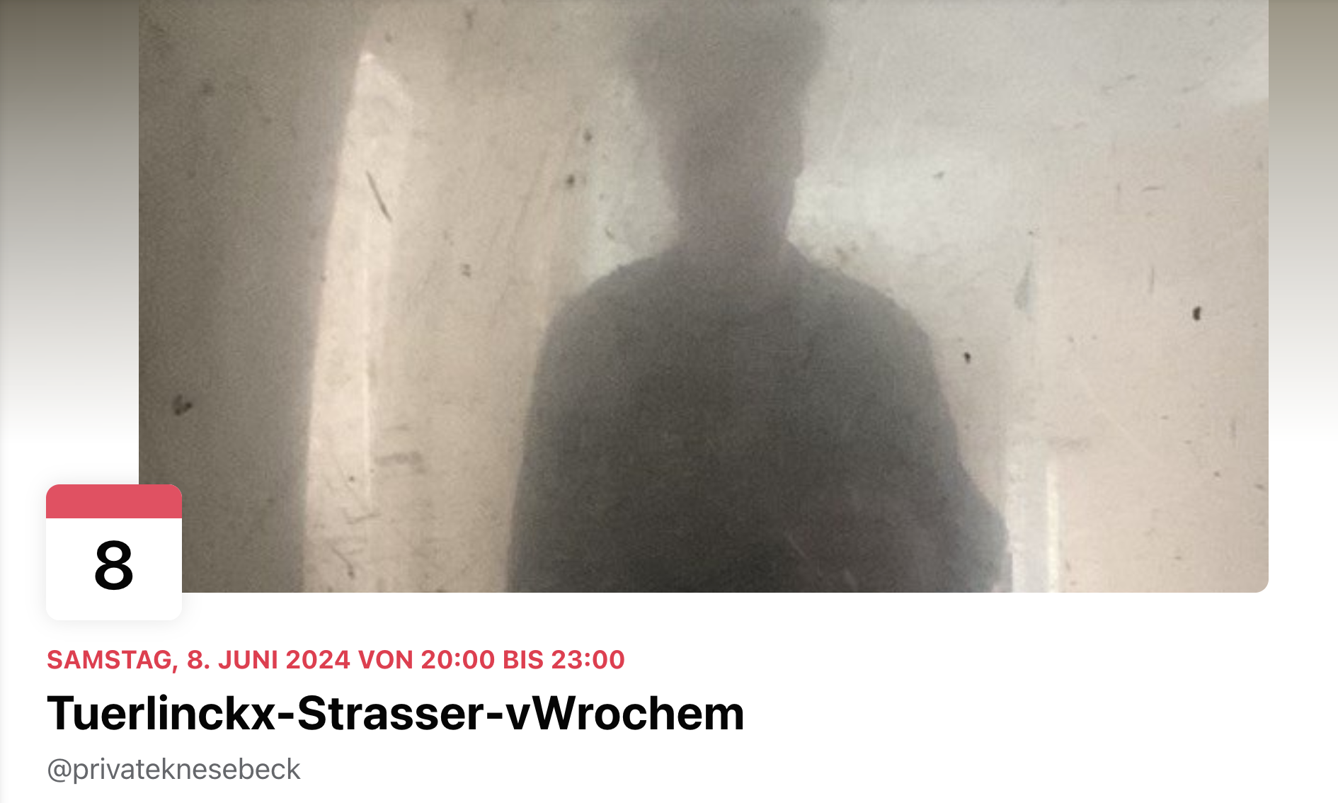 - 16 Tuerlinckx Strasser vWrochem
